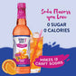 ** NEW ** - Jordan's Sugar Free Orange Soda Syrup - 750ml - NEW ARRIVAL